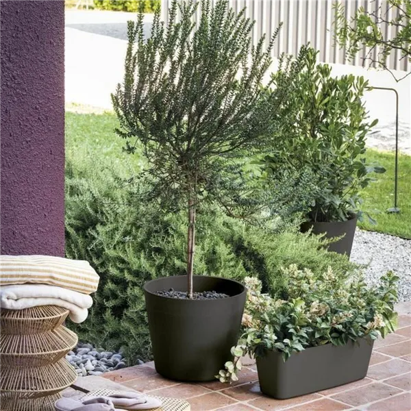 Plant pot Deroma