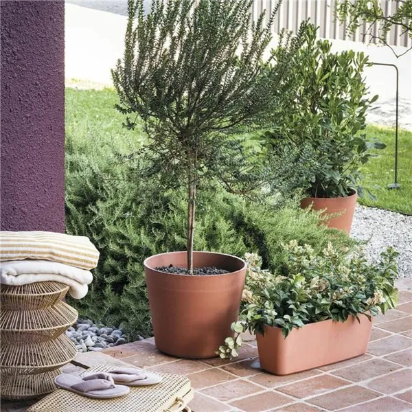 Plant pot Deroma