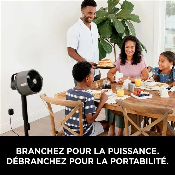 Freestanding Fan Shark 36 W