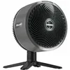 Freestanding Fan Shark