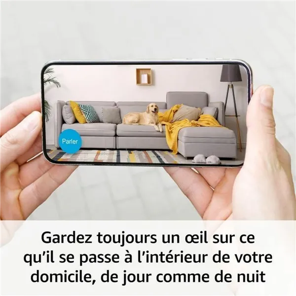 Surveillance Camcorder Blink Home Security
