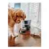 Automatic feeder PetSafe Black Stainless steel