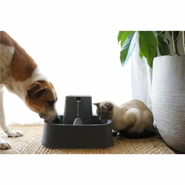 Pet Water Fountain PetSafe 7,5 L