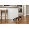 Pet Water Fountain PetSafe 1,8 L