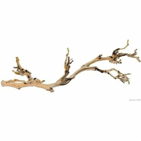Terrarium accessory Exo Terra PT3077A1 Terrarium