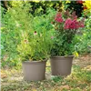 Plant pot Deroma 60 cm Taupe Injected Circular Ø 60 cm