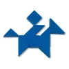 Oskuste Mäng Cayro Tangram