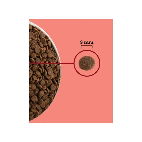 Cat food Acana Chicken 4,5 Kg