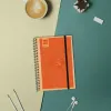 Grafiks Finocam