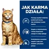 Cat food Hill's PD C/D Urinary Care Chicken 3 Kg