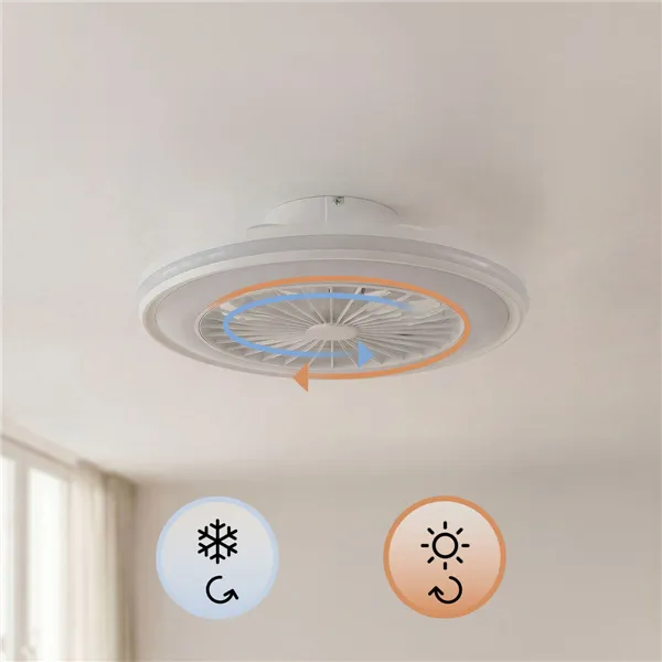 Ceiling Fan with RGB LED Light, Hidden Blades and Remote Control Nexory InnovaGoods