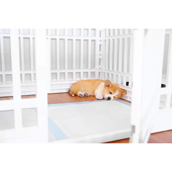 Прокладки гигиенические Springos PA2014 40х60см 50 шт.