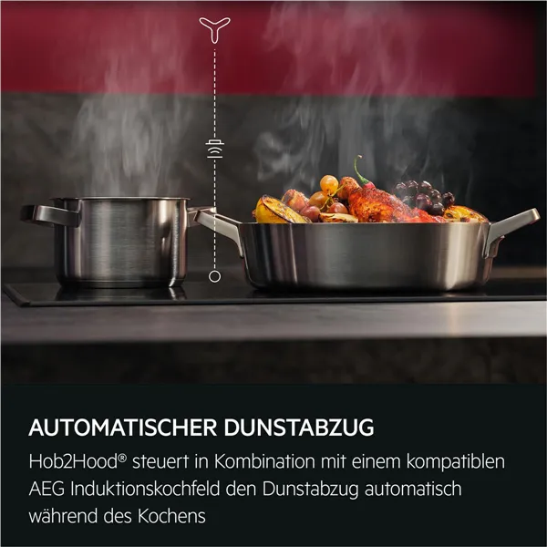 Conventional Hood Electrolux