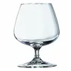 Balloon Glass Arcoroc 62661 Transparent Glass 250 ml 6 Pieces