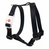 Dog Harness Matteo Multicolour