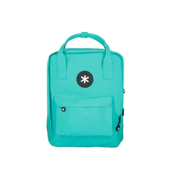 Skolas soma Antartik ME17