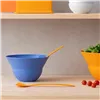 Mixing Bowl Bodum Blue