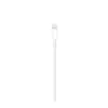 USB to Lightning Cable Apple MXLY2ZM/A White 1 m