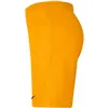 Sports Shorts Nike BV6865 739 Black Men