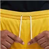 Sports Shorts Nike BV6865 739 Black Men