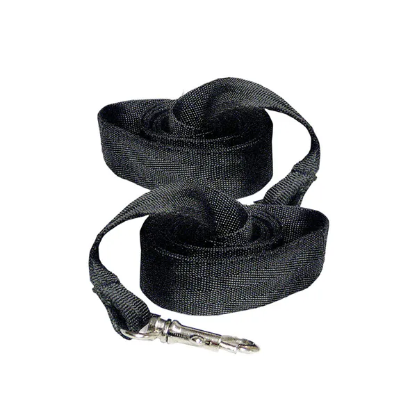 Strap Sportsheets