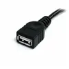 USB Cable Startech USBEXTAA6BK          USB A Black