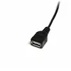 USB A to USB B Cable Startech USBMUSBFM1