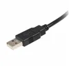 USB A to USB B Cable Startech USB2HAB5M            Black