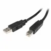 USB A to USB B Cable Startech USB2HAB1M            Black