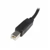 USB A to USB B Cable Startech USB2HAB1M            Black