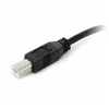 USB A to USB B Cable Startech USB2HAB30AC          Black