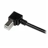 USB A to USB B Cable Startech USBAB1MR             Black