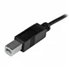 USB C to USB B Cable Startech USB2CB2M             (2 m) Black