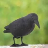 Отпугиватель птиц садовый ворон Springos GA0129