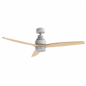 Ceiling Fan Taurus