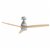 Ceiling Fan Taurus