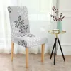Tuolinpäällinen Springos HA0046