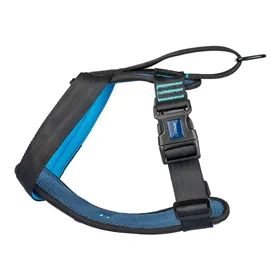 Dog Harness Company of Animals Carsafe Crash Tested Blue 34 cm Travel XS