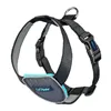 Dog Harness Company of Animals CarSafe Black XS