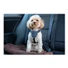 Dog Harness Company of Animals CarSafe Black XS