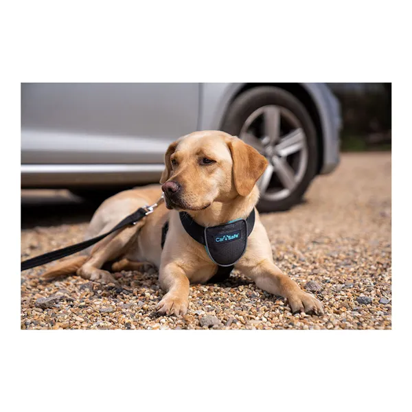 Dog Harness Company of Animals CarSafe Black Size M