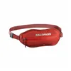 Sports Belt Salomon Active Sling Belt High