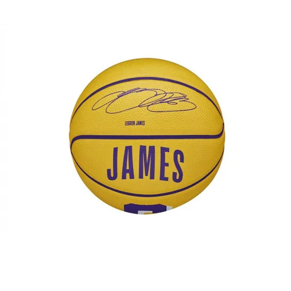 Basketball Ball Wilson Nba Player Icon Mini Lebron Purple (Size 3)