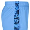 Sports Shorts Nike Dry Fit Trophy Black