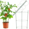 Gėlės žiedų atrama Springos HA5167 91 cm žalia