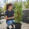 Gėlės žiedų atrama Springos HA5167 91 cm žalia