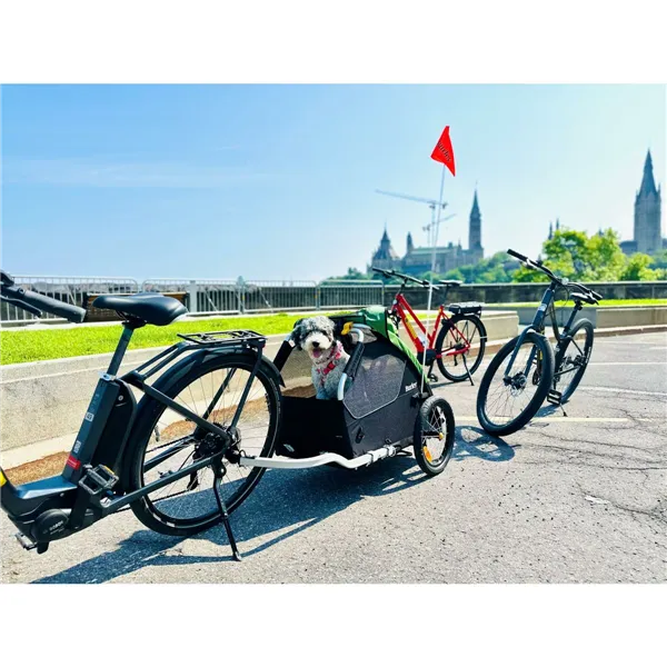 Bicycle trailer Burley BU-947108