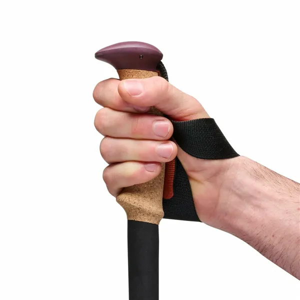 Trekking Stick Black Diamond BD110065 Purple