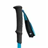 Trekking Stick Black Diamond BD11255440071201