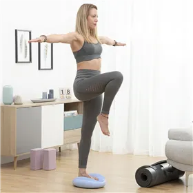 Balance Cushion with Inflation Pump Cushport InnovaGoods
